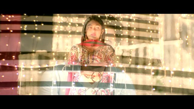 Tu Vi Nahi _ RSVP (Ronde Saare Vyah Picho) _ Navraj Hans _ Full Song Music Video