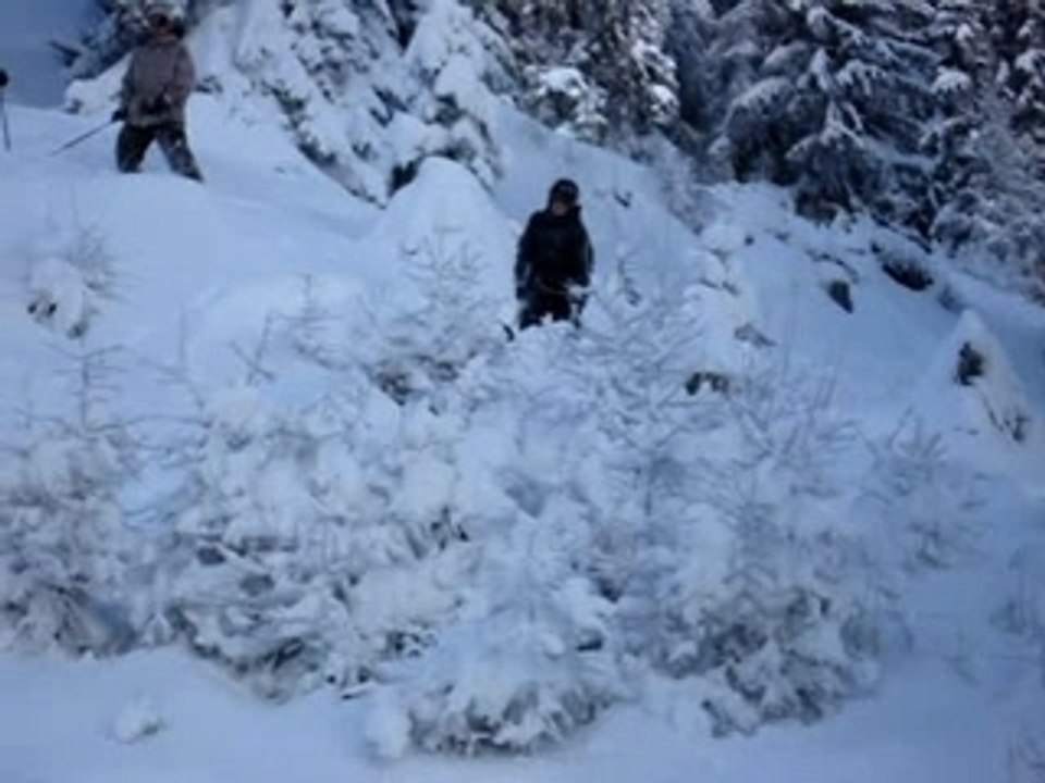 amusant chute de ski sport