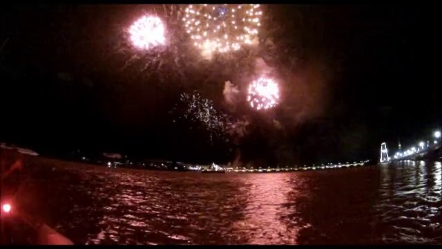 Bordeaux fête le vin - Juin 2014