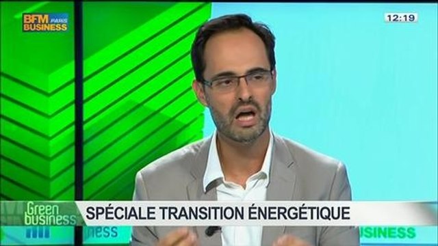 Spécial Transition énergétique: Sabine Buis, Nicolas Garnier, Guy Auger, Daniel Bour et Arnaud Gossement, dans Green Business - 29/06 2/4