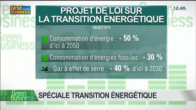 Spécial Transition énergétique: Sabine Buis, Nicolas Garnier, Guy Auger, Daniel Bour et Arnaud Gossement, dans Green Business - 29/06 4/4