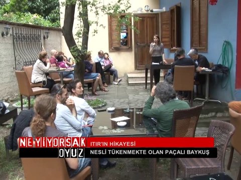 Ne Yiyorsak Oyuz - Dünya Çevre Günü (28 Haziran 2014)