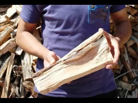 {Mucizeler Müzesi} Ağaç kütüklerindeki ALLAH lafzı