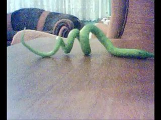 {Mucizeler Müzesi} Biber ALLAH lafzını oluşturursa