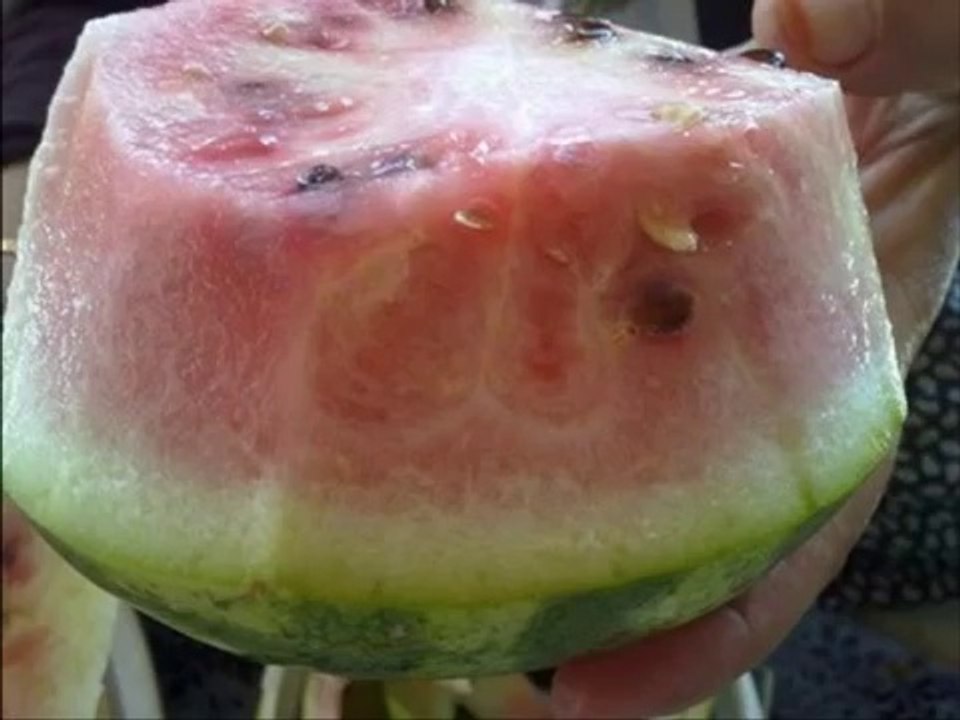{Mucizeler Müzesi} Karpuzlar üzerinde yazan ALLAH lafzı