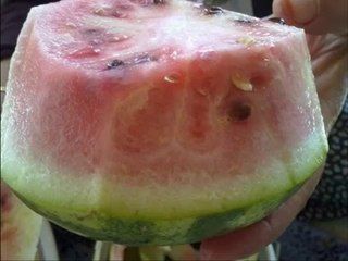 {Mucizeler Müzesi} Karpuzlar üzerinde yazan ALLAH lafzı