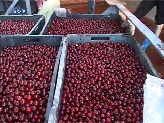 Osvojen još jedan proizvod, 29. jun 2014.