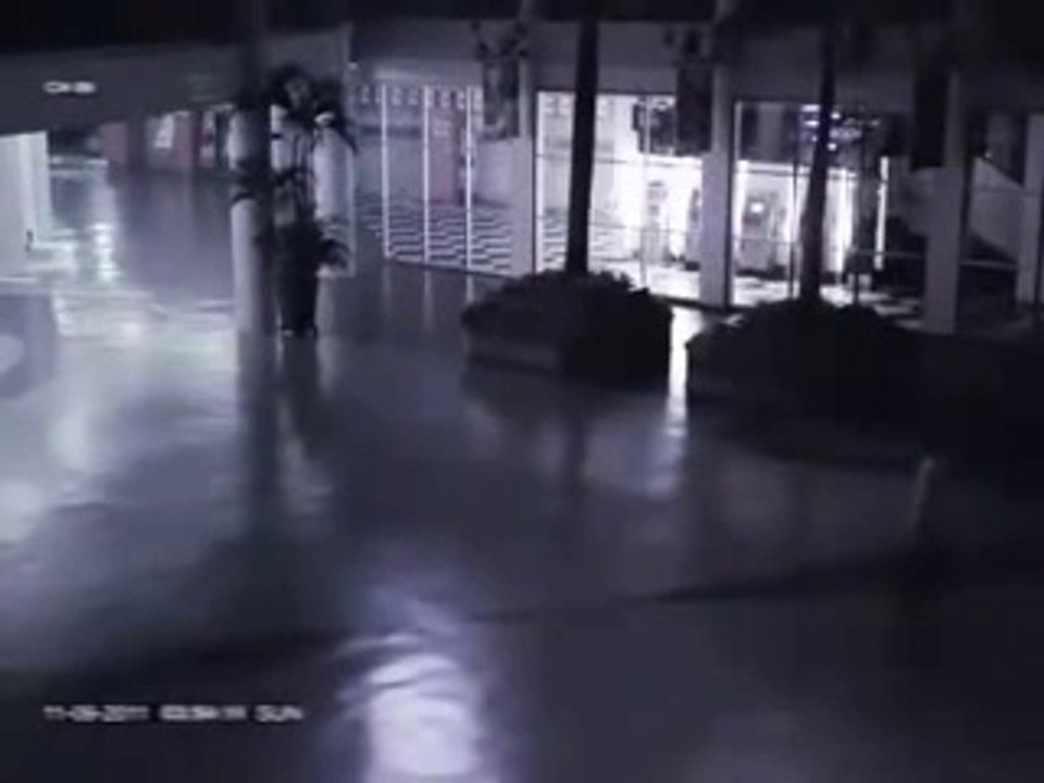 Unknown Winged Creature Caught on Camera