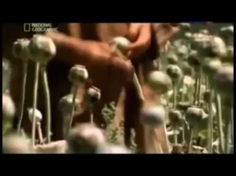 «Mr. Credo - Талибан»