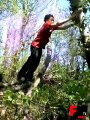 Tree Parkour Gone Bad - Fails World