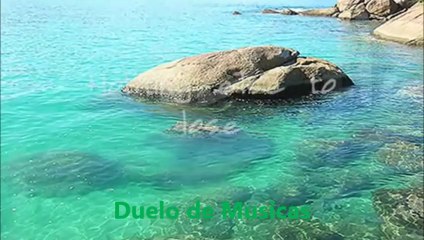 Sem Limites Pra Sonhar  FÁBIO JR  BONNIE TYLER   JM  Zémacedito