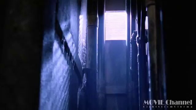 The Shawshank Redemption (1994) - Prison-Breaking [HD 1080p]