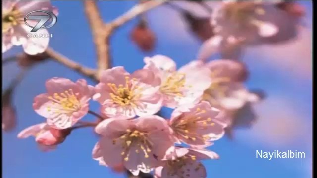 Bekir Köse Ali İmran süresi Ramazan 2014
