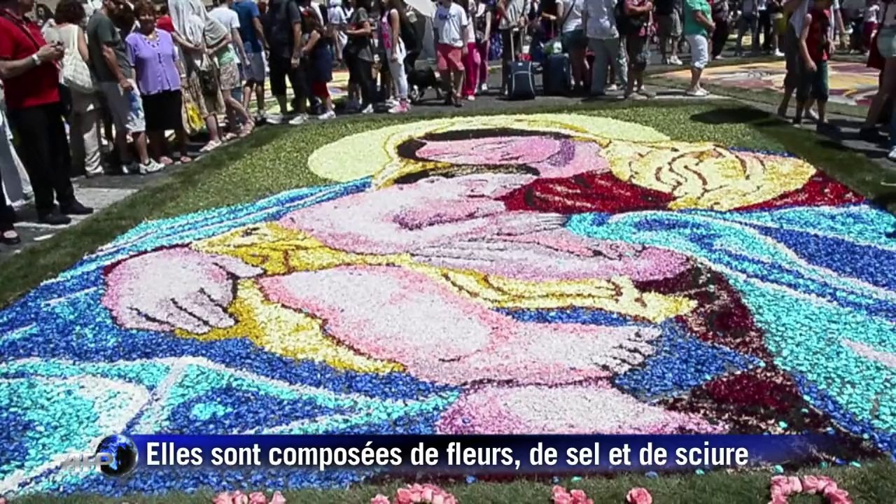 Un portrait du pape sous forme de tapis de fleu...