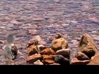 Tous-les-matins-du-monde---YouTube