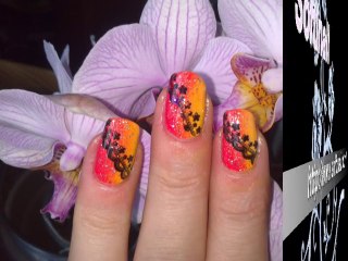 Tuto Nail art .-*Stamping et dégradé*-.