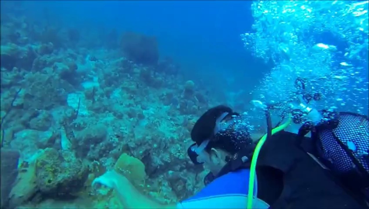 Bapteme de plongee de Noah