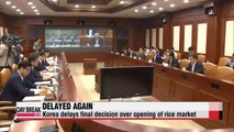Korea delays official announcement to open rice market