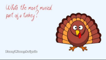 Kids Jokes 33 Turkey