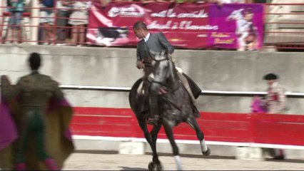 ANTHONY PIGNATEL LE PLAN D ORGON