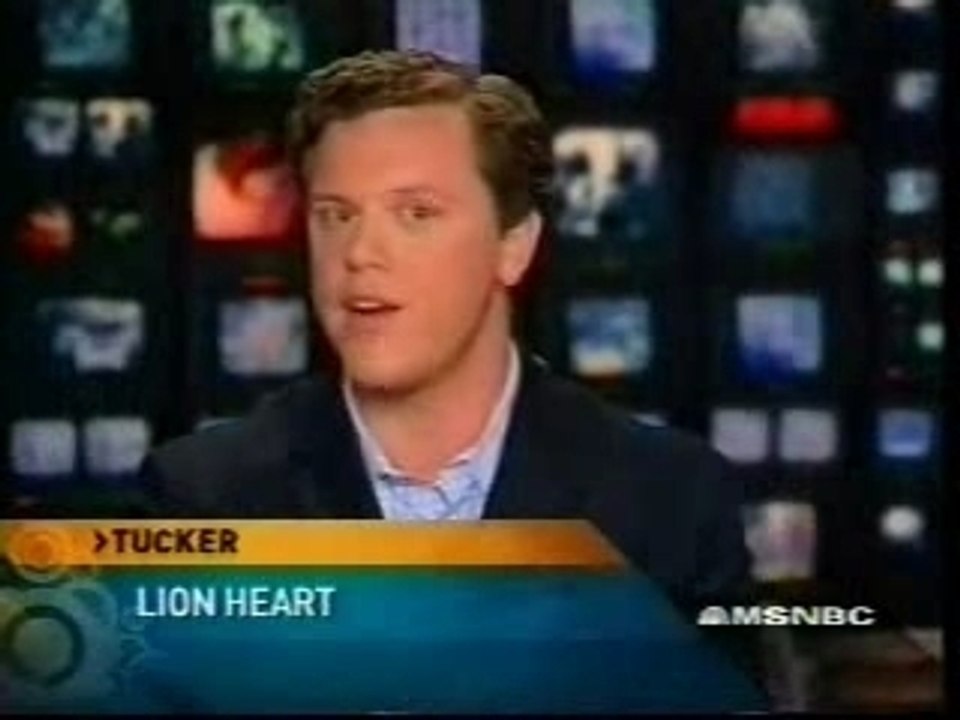 Un amour de lion