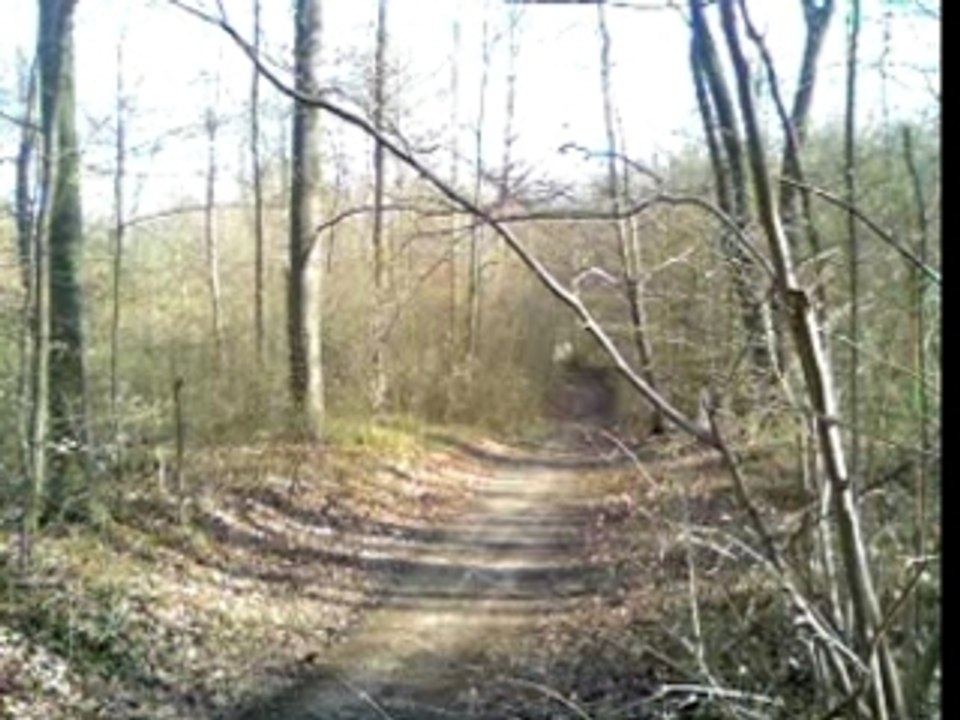 Cross 1