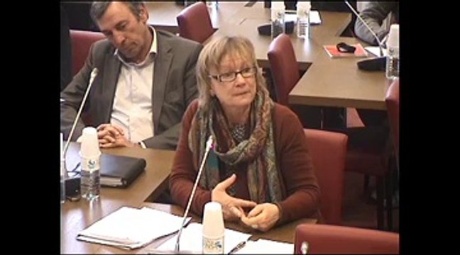 AUDITION DE MME ANNIE JEANNE, PDTE. ASSOC. DIR. MISSION LOCALE - Jeudi 13 Décembre 2012