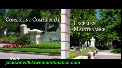 Lawn Care Tips Jacksonville Florida