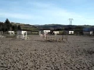 marion et son cheval cristal