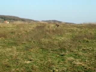 sprint ulk et boon 2