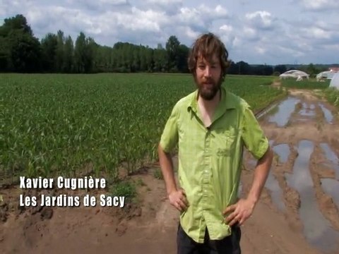 Du champ à l'assiette : côté producteurs !