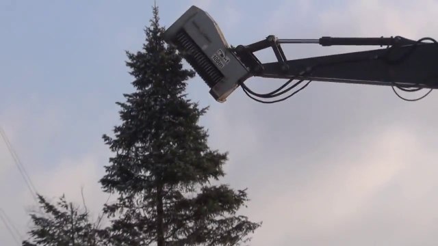 Détruire un arbre en 2 secondes : machine énorme!