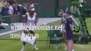 2014 Men's Singles Wimbledon Tennis Online