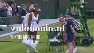 Live Mens Wimbledon 2014