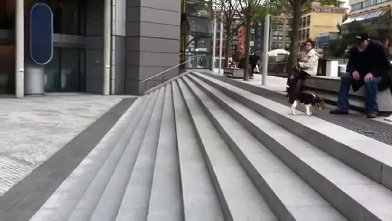 Funny Videos - Fail Compilation, Funny Pranks and Funny Cats Videos _ New Funny Video(26)