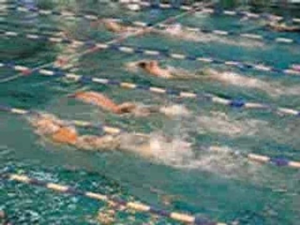 championnat francophone natation