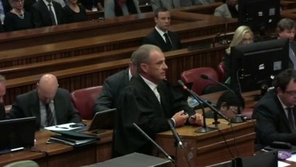 Pistorius did not suffer mental illness - report says