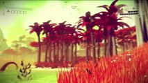 L’incroyable aventure de No Man’s Sky