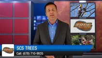 Kennesaw Tree Removal Experts SCS Trees Another 5 Star Review from a happy customer