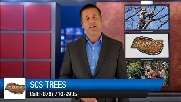 Kennesaw Tree Removal Experts SCS Trees Another 5 Star Review from a happy customer