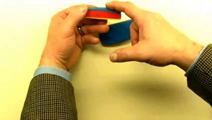 early development of embryo