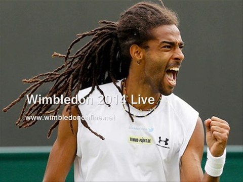 LIVE Wimbledon 2014 Womens Singles FINAL TENNIS