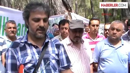 Bilirkişi Phaselis'te İnceleme, Çevreciler Eylem Yaptı