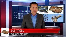 Acworth Tree Service Experts - SCS Trees - Great 5 Star Review by Steve in Acworth GA