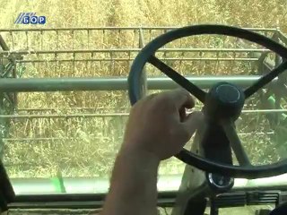 Pocela zetva - Ljilja_out