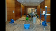 Water Damage South Miami Service | Company for Home Removal & Repair