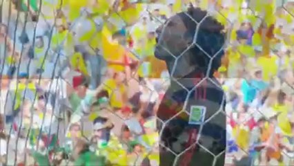 But de Sneijder! Pays Bas - Mexique (1-1)