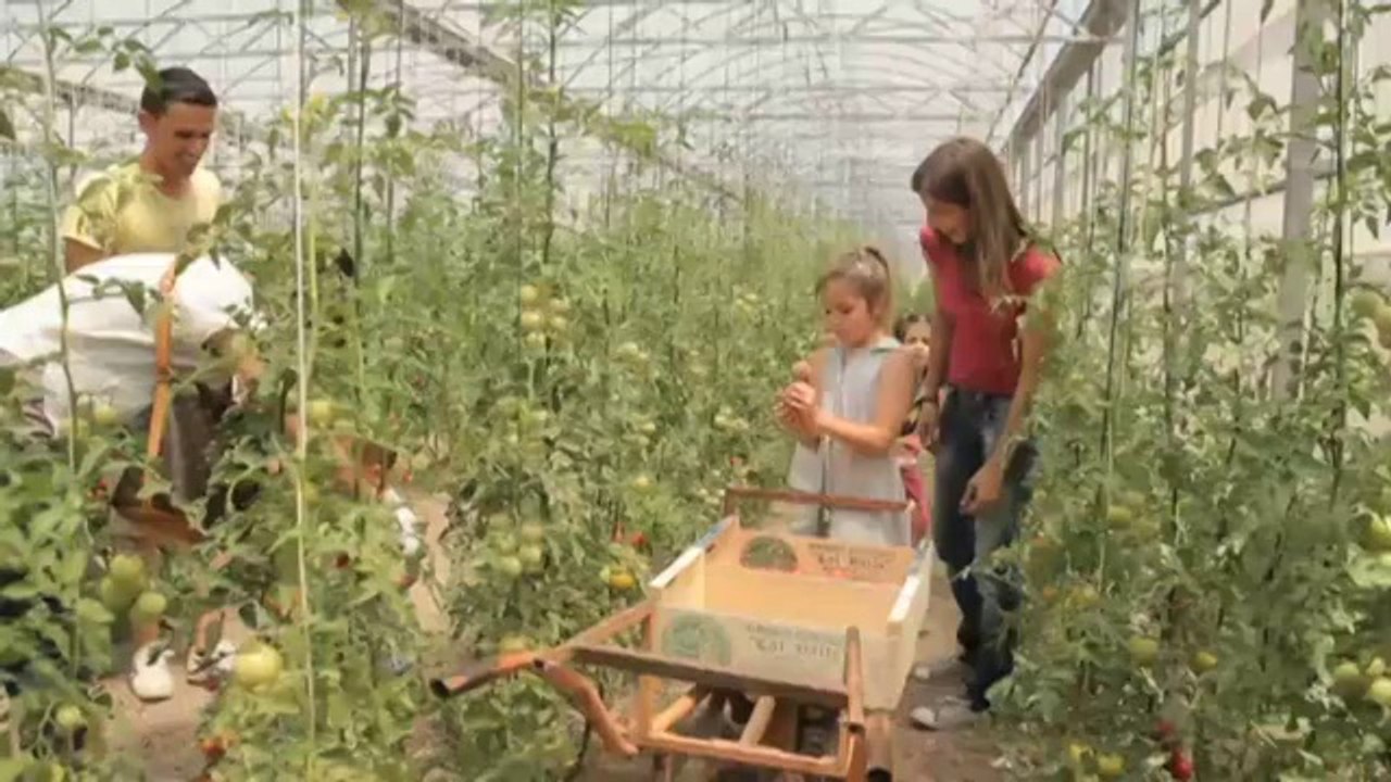 TV3 - Un Dia Perfecte en Família per Catalunya - Un Dia Perfecte en Família per Catalunya - capí