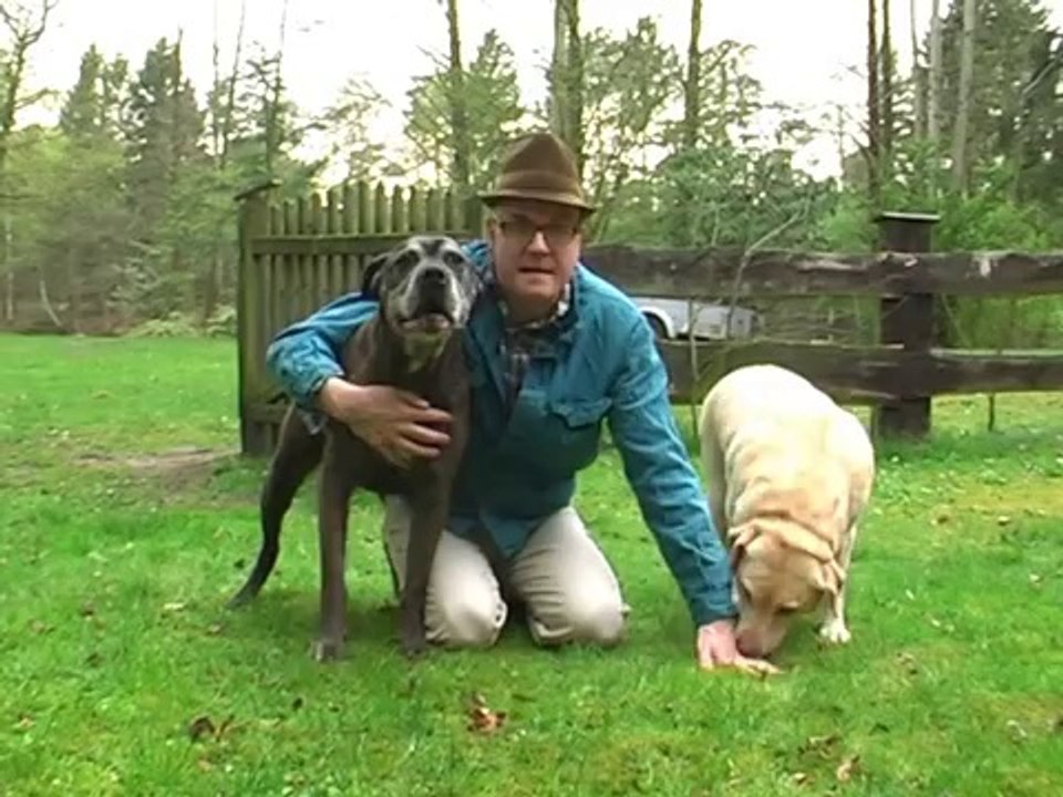 Eine schrecklich nette Familie - Schwiegermutter zu Besuch!