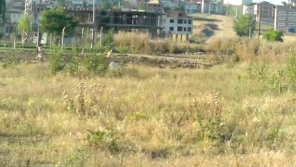 sezona hazırlık
